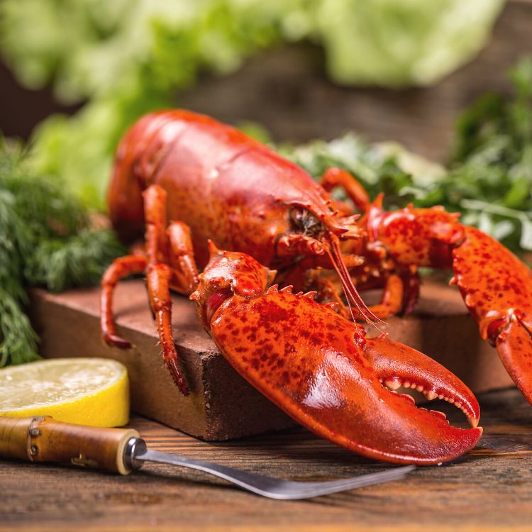 Offre restaurant Homard patates