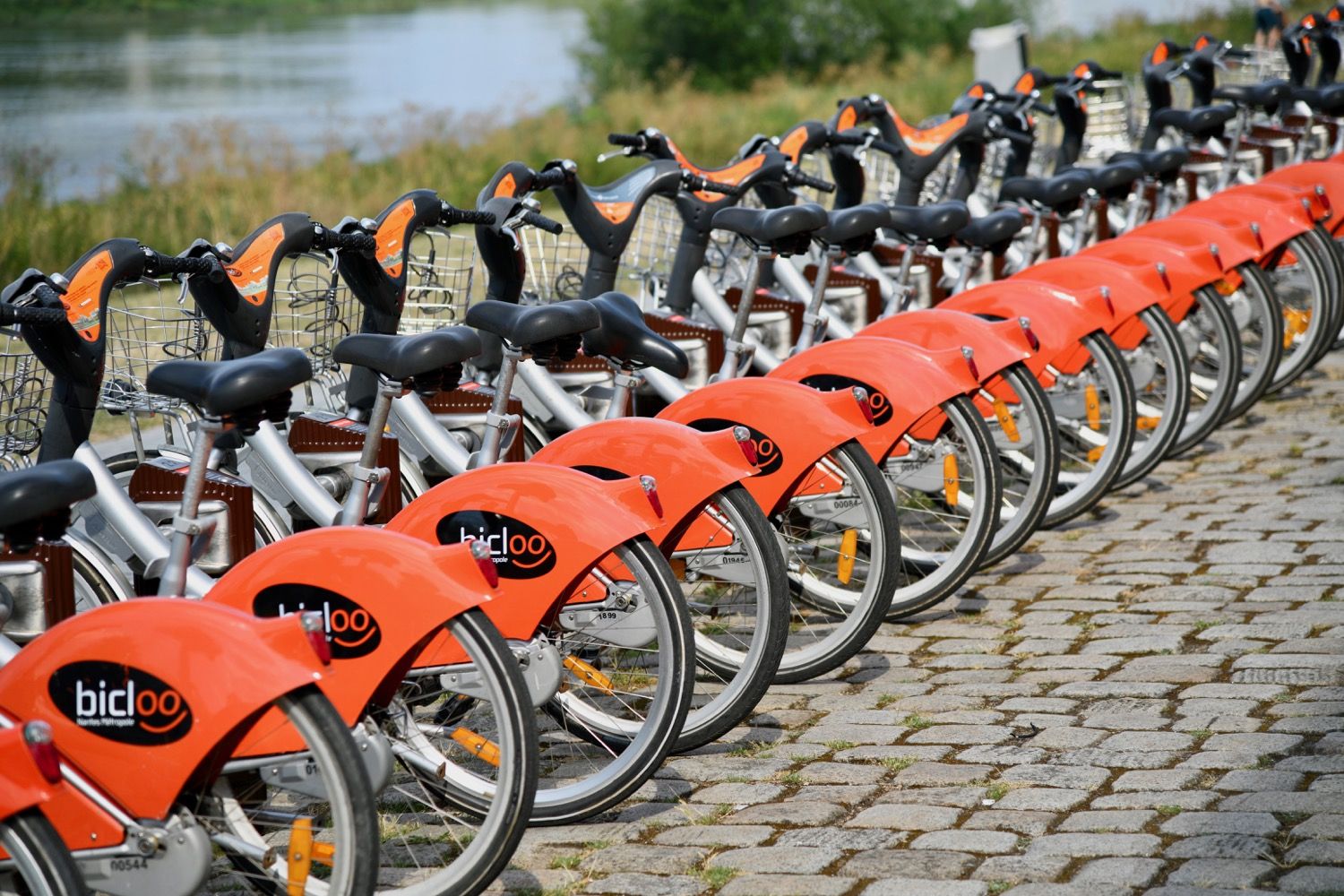 Été 2025 - Balades à vélo et Loire à Vélo