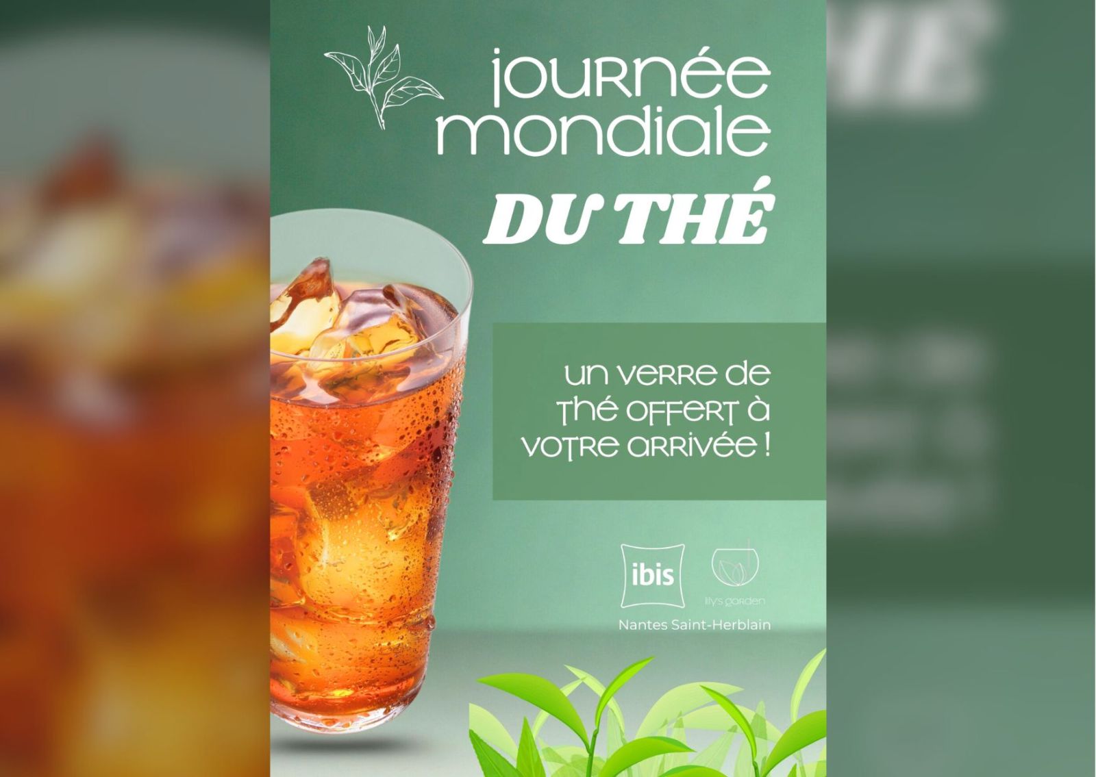 Journée mondiale du thé le 21 mai 2025